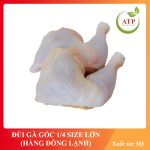 ĐÙI GÀ GÓC TƯ SIZE LỚN