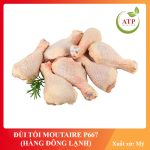 ĐÙI TỎI MOUTAIRE P667